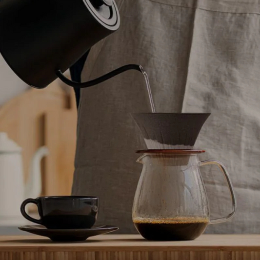 Paperless Coffee Filter Care Guide