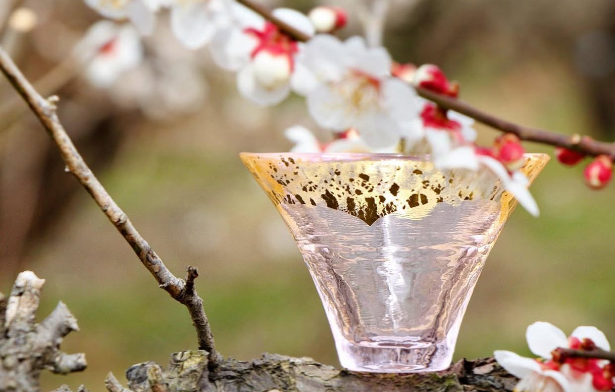 Kimoto Glass Mount Fuji Sake Cup Set