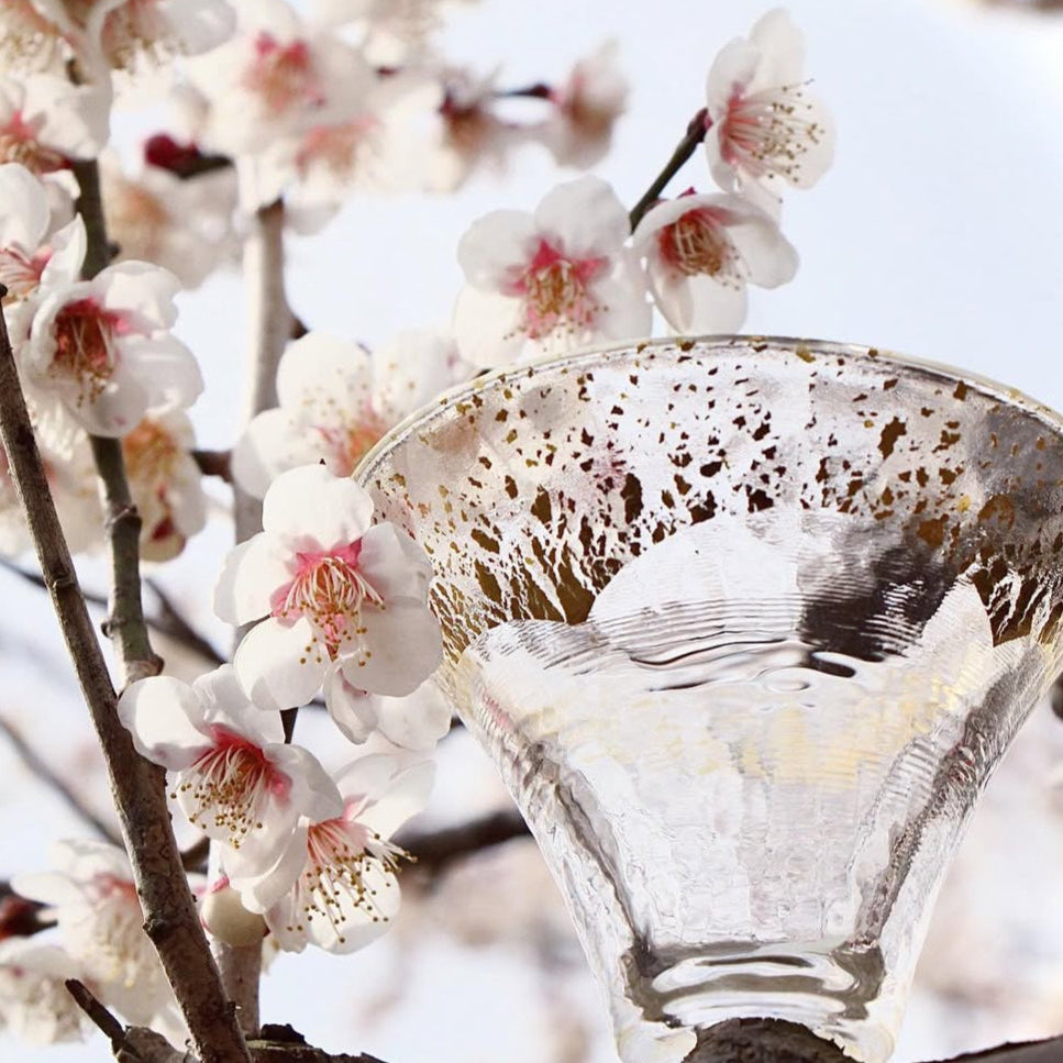 Kimoto Glass Mount Fuji Sake Cup Set