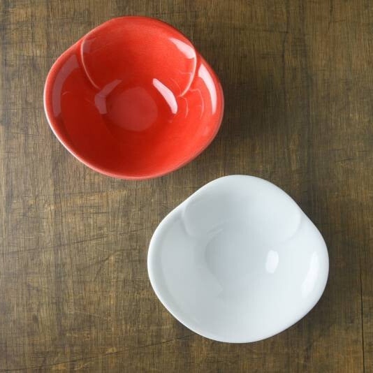 Miyama Tamatubaki Red and White Pair Bowl Gift Set