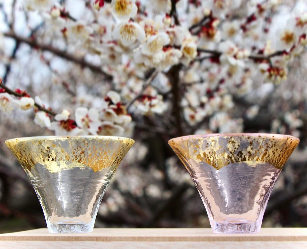 Kimoto Glass Mount Fuji Sake Cup Set