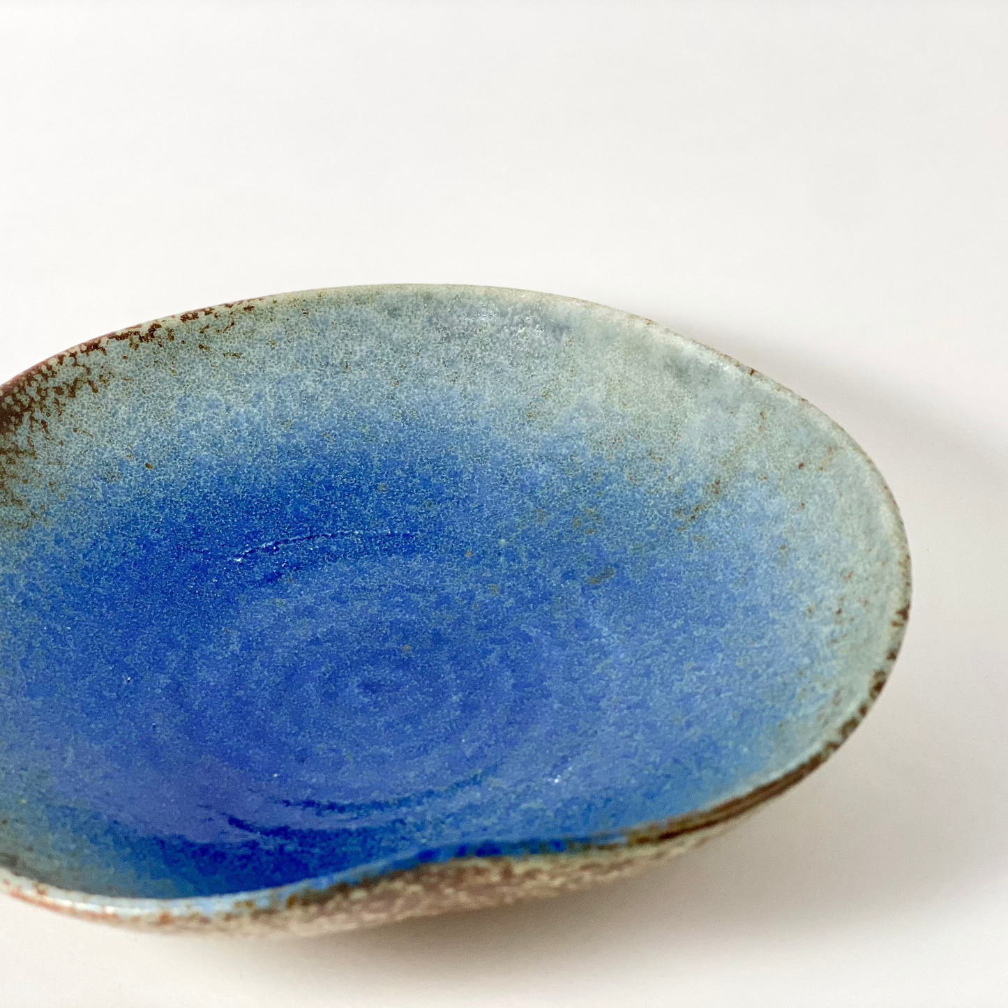 Blue Coral Plate